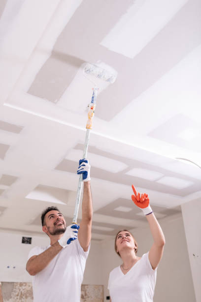 Trusted Point Pleasant, NJ Mold Removal Experts