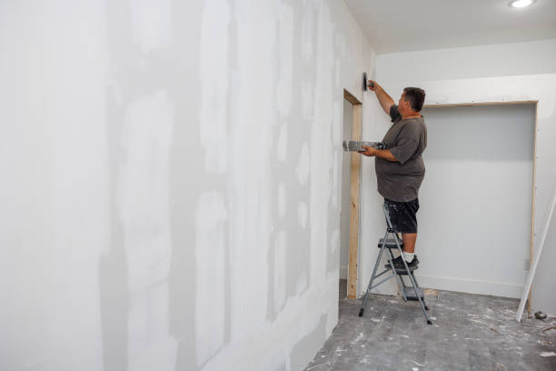 Best Black Mold Removal  in Point Pleasant, NJ