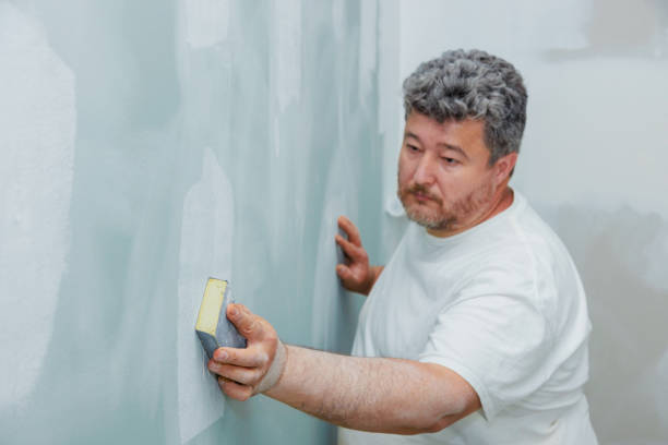 Best Mold Odor Removal Services  in Point Pleasant, NJ