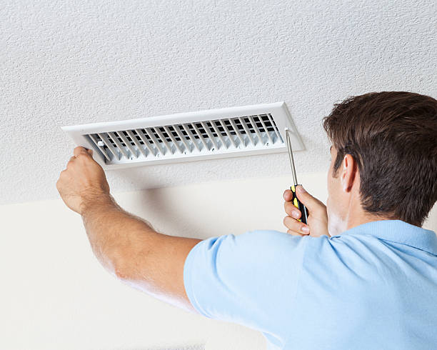 Best Biohazard Mold Removal  in Point Pleasant, NJ