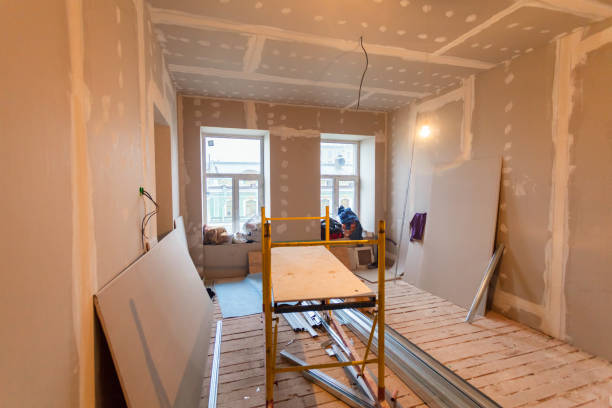 Best Basement Mold Removal  in Point Pleasant, NJ